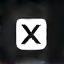X Twitter icon